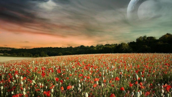 为什么人到中年,很少有身材苗条的?